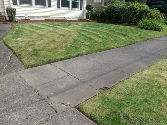 ranferpas lanscaping Logo