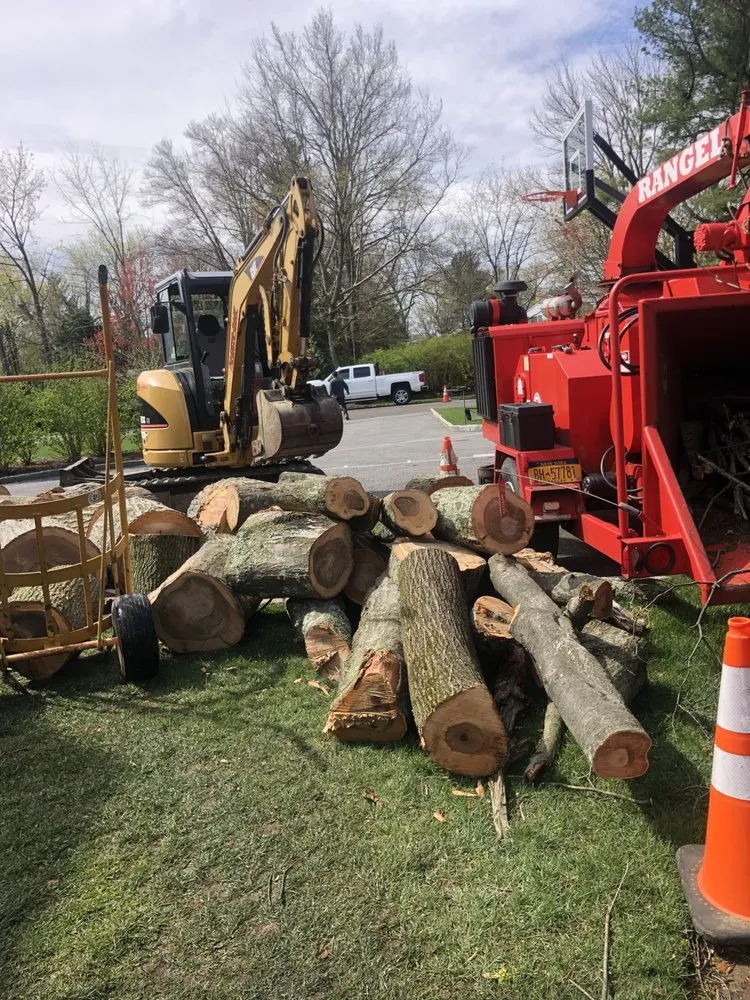 Local yard cleanup service in Stamford, CT - Rangel Landscaping & Contracting