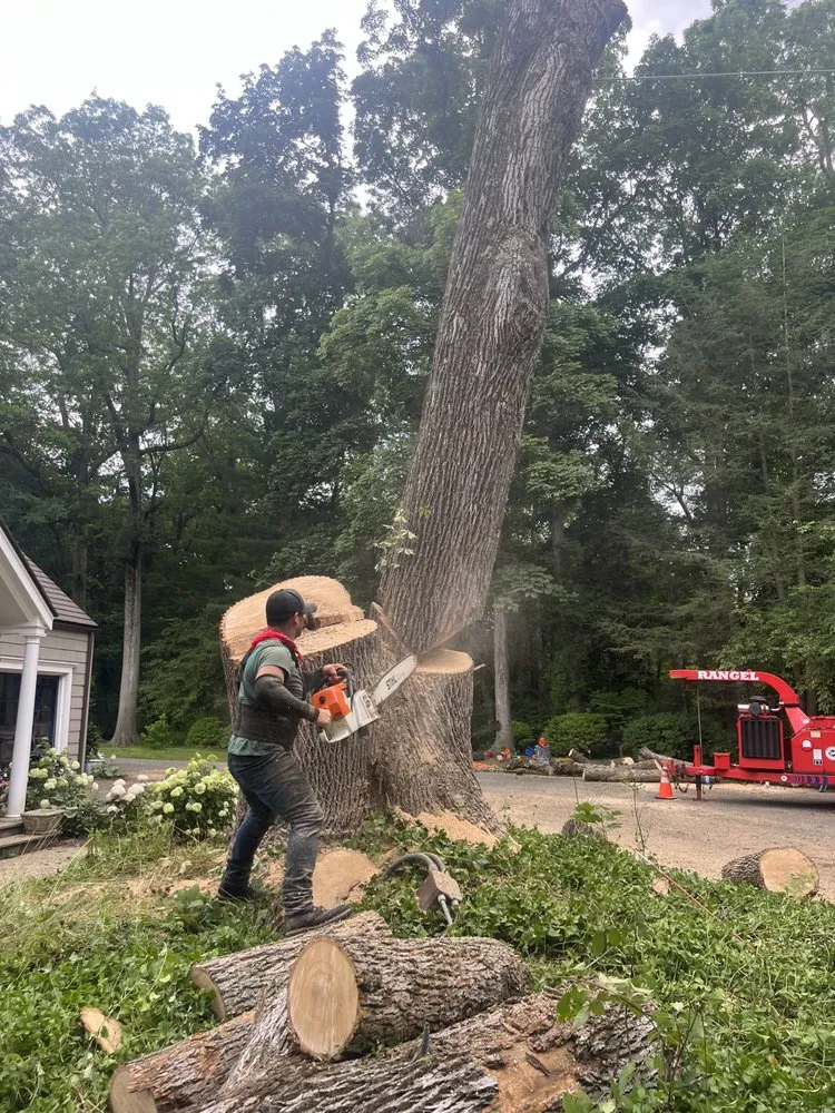 Professional landscape installation in Stamford, CT by Rangel Landscaping & Contracting