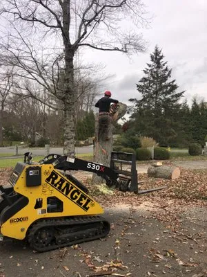 Rangel Landscaping & Contracting Logo