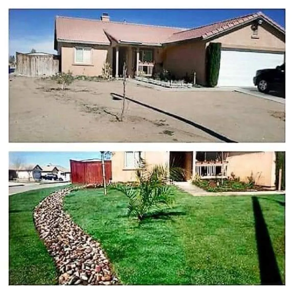 Trusted yard maintenance for year-round maintenance in Chino, CA by Rangel Landscaping