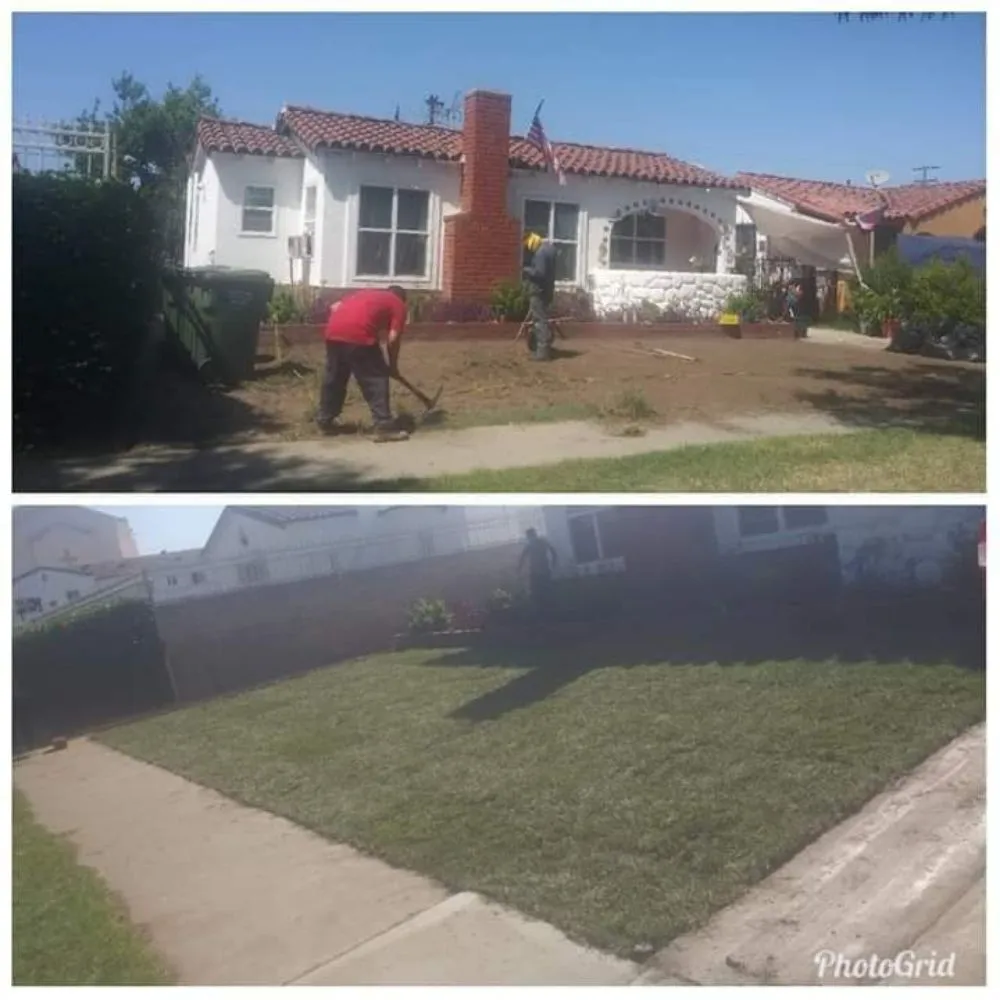 Professional lawn care service experts serving Chino, CA - Rangel Landscaping