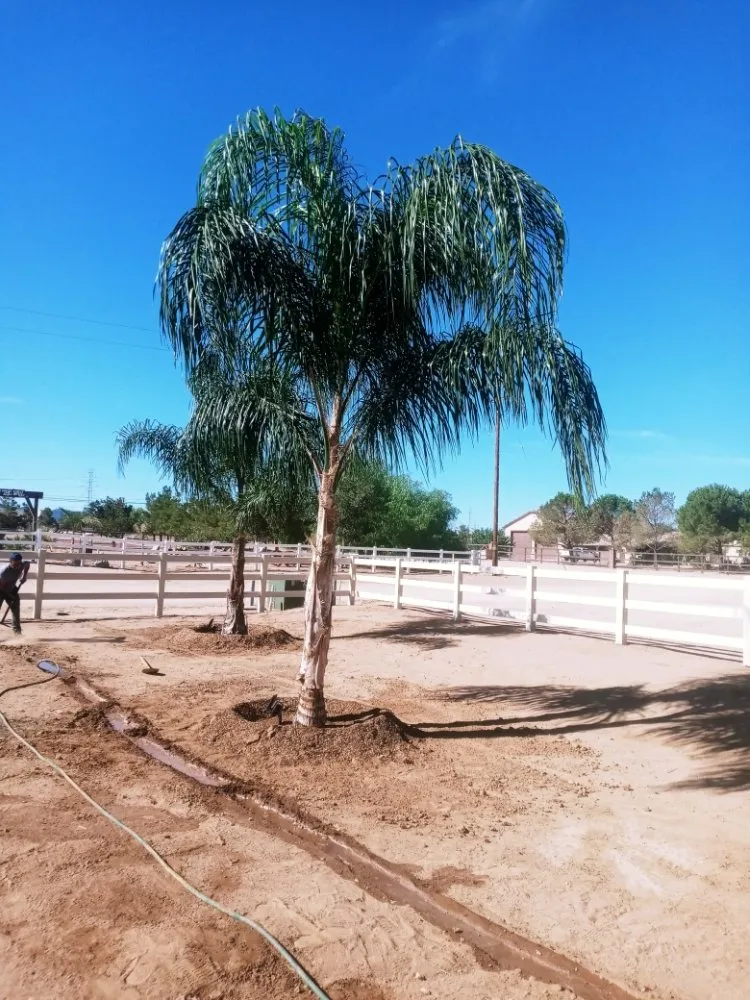 Top-rated lawn mowing service experts serving Chino, CA - Rangel Landscaping