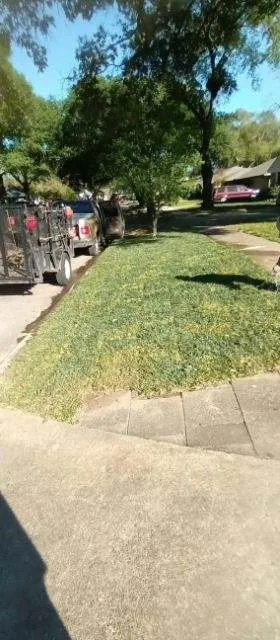 Affordable outdoor landscaping in Houston, TX - Rangel Southwest Creations Lawn Care