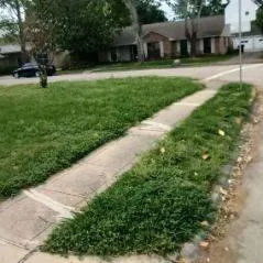 Top-rated residential landscaping with custom design across Houston, TX - Rangel Southwest Creations Lawn Care