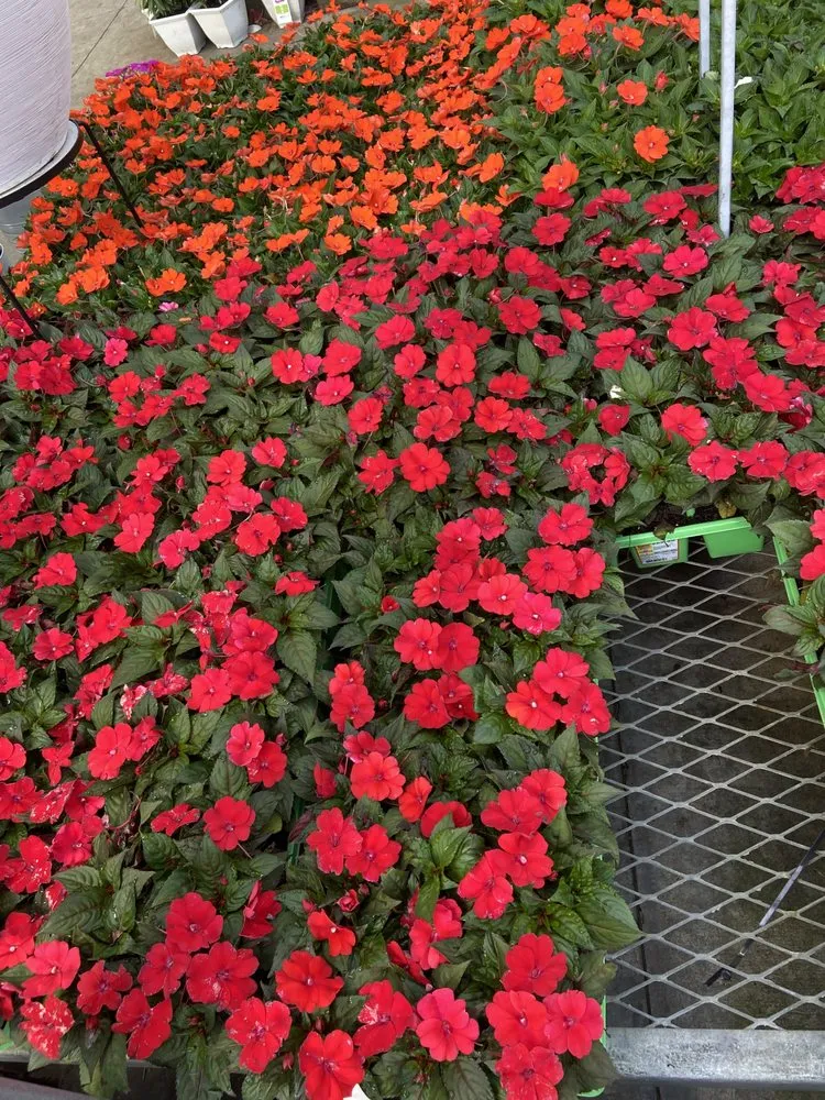 Trusted residential landscaping in Houston, TX - Rangel Southwest Creations Lawn Care