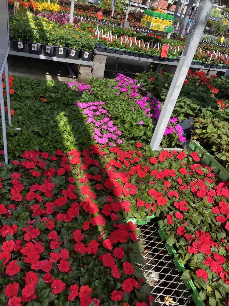 Top-rated landscaping services experts serving Houston, TX - Rangel Southwest Creations Lawn Care