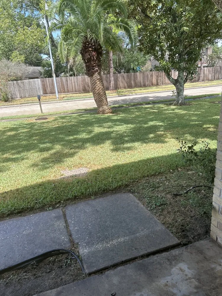 Expert landscape installation near you in Houston, TX by Rangel Southwest Creations Lawn Care