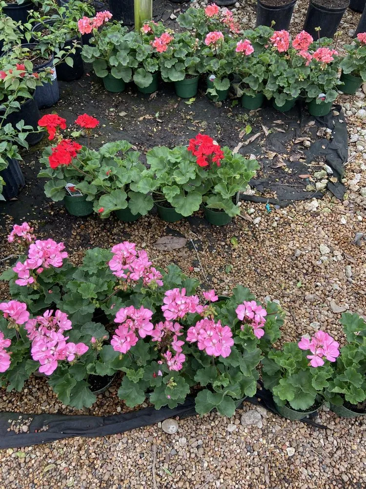 Professional garden landscaping experts serving Houston, TX - Rangel Southwest Creations Lawn Care