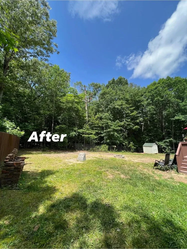 Professional residential landscaping for year-round maintenance across Monroe, NC - Rangel Tree & Landscaping Services