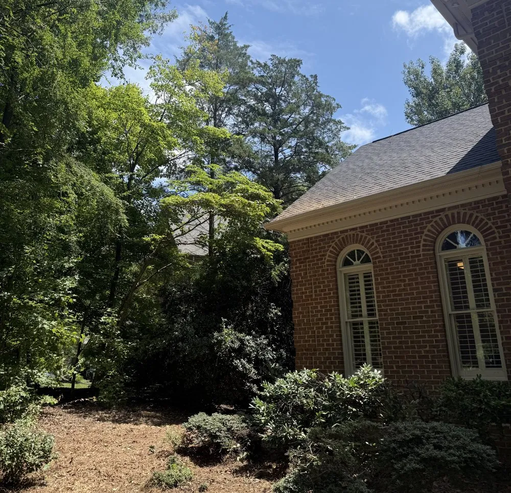 Top-rated landscape design in Monroe, NC - Rangel Tree & Landscaping Services