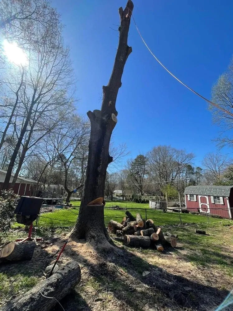 Local residential landscaping near you across Monroe, NC - Rangel Tree & Landscaping Services