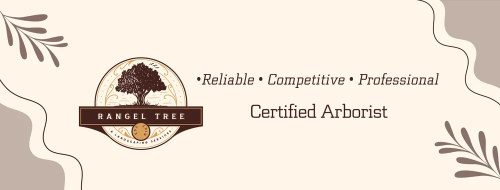 Reliable landscape design in Monroe, NC - Rangel Tree & Landscaping Services