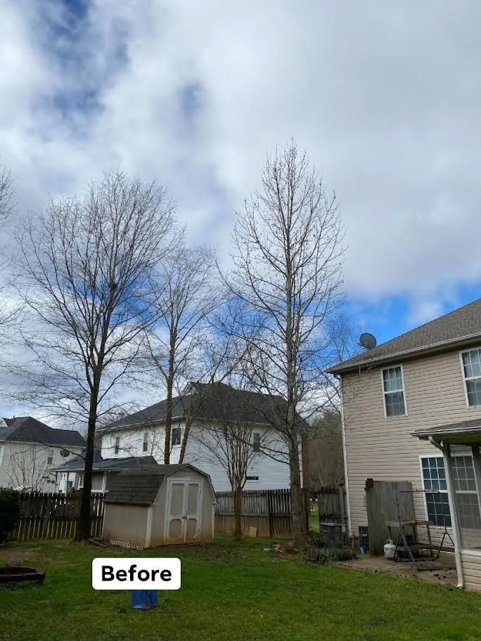 Custom outdoor landscaping with custom design in Monroe, NC by Rangel Tree & Landscaping Services