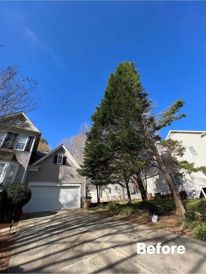 Local residential landscaping in Monroe, NC - Rangel Tree & Landscaping Services