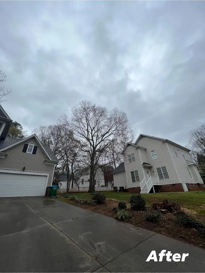 Expert landscape design in Monroe, NC - Rangel Tree & Landscaping Services