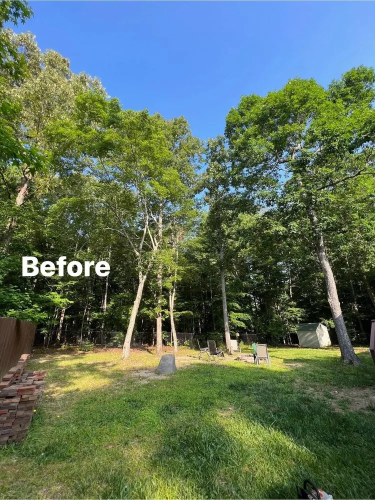 Top-rated yard maintenance in Monroe, NC - Rangel Tree & Landscaping Services