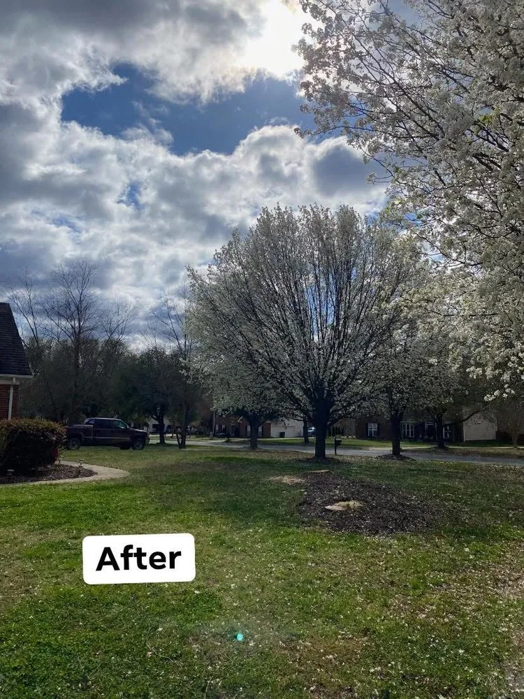 Expert lawn mowing service near you across Monroe, NC - Rangel Tree & Landscaping Services