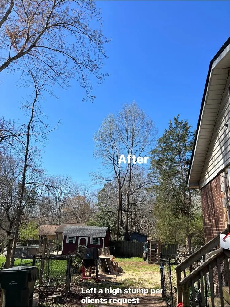 Top-rated yard maintenance experts serving Monroe, NC - Rangel Tree & Landscaping Services