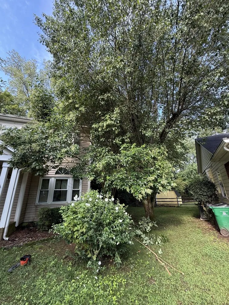 Expert lawn mowing service in Monroe, NC - Rangel Tree & Landscaping Services