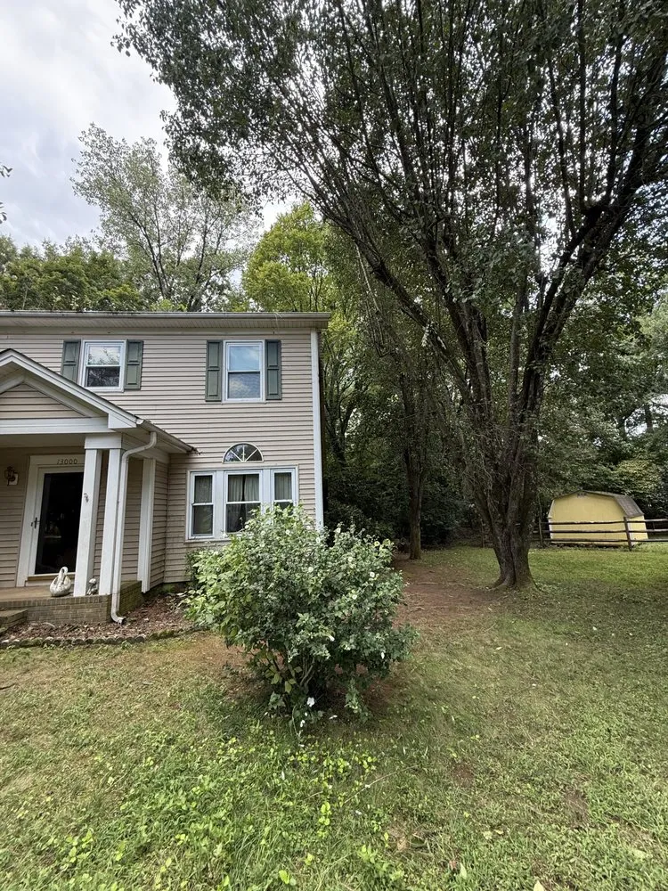 Reliable landscape installation for year-round maintenance in Monroe, NC by Rangel Tree & Landscaping Services