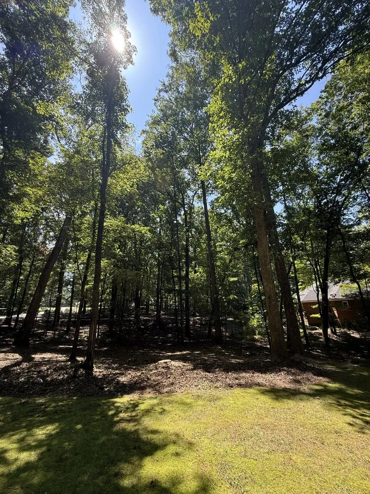 Custom lawn mowing service in Monroe, NC - Rangel Tree & Landscaping Services