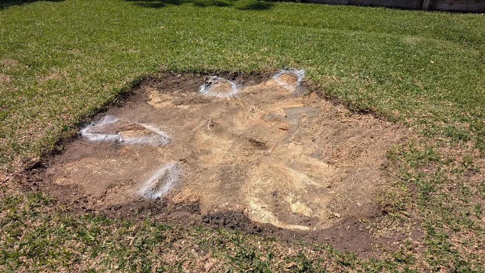 Expert lawn mowing service in Katy, TX - Rangel Tree Serive