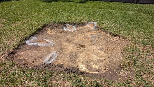 Rangel Tree Serive Logo