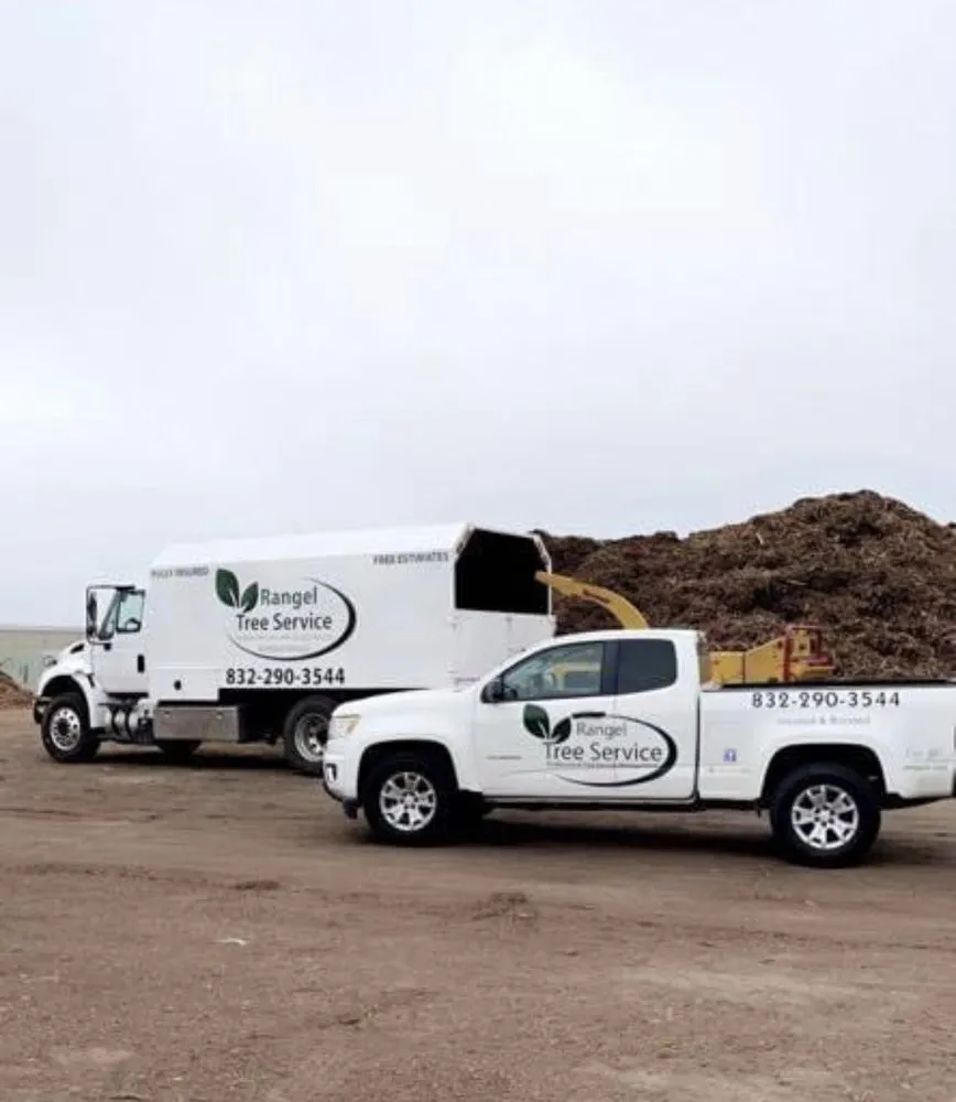 Reliable outdoor landscaping near you in Brookshire, TX by Rangel Tree Service