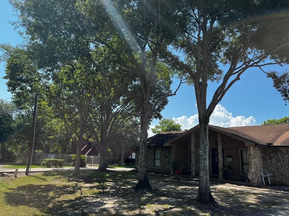 Trusted lawn mowing service in Brookshire, TX by Rangel Tree Service