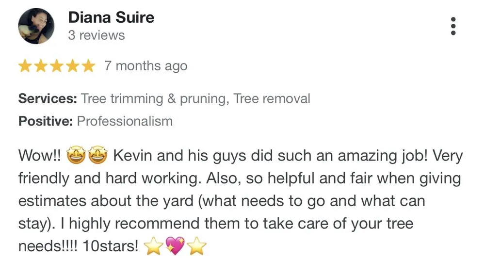 Professional yard cleanup service in Brookshire, TX - Rangel Tree Service