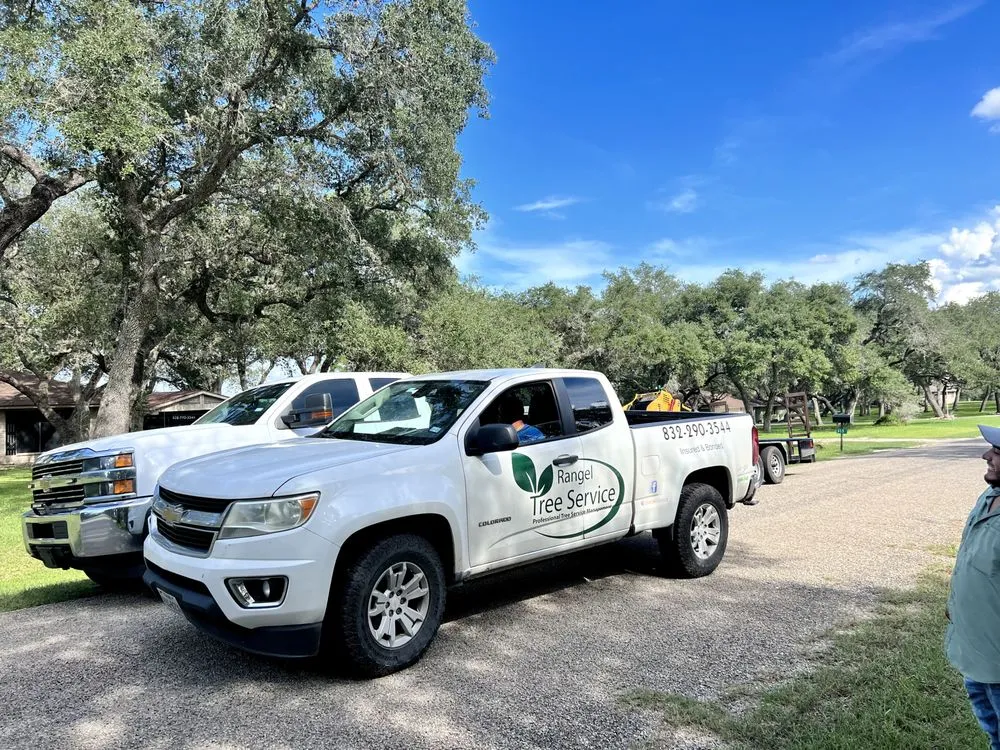 Custom landscape installation for year-round maintenance across Brookshire, TX - Rangel Tree Service