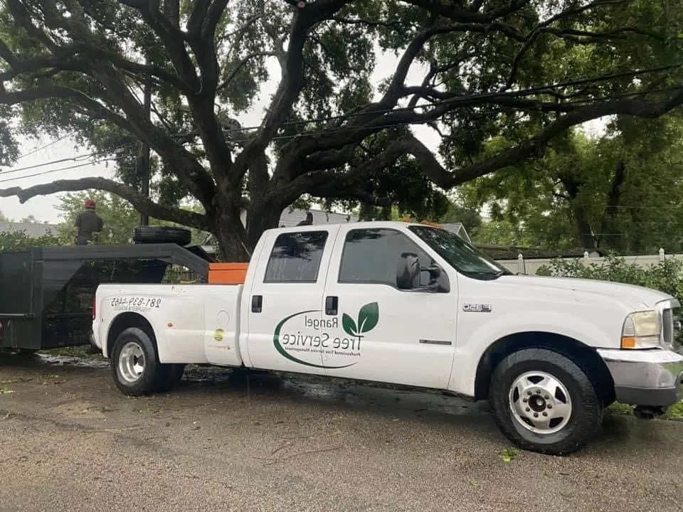 Top-rated residential landscaping in Brookshire, TX - Rangel Tree Service