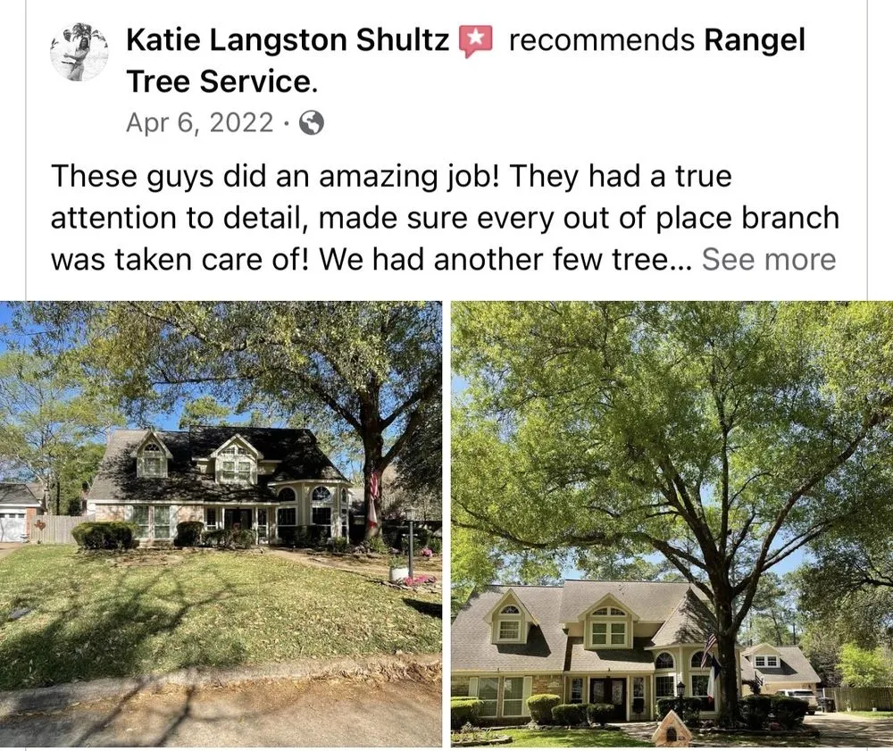 Professional lawn mowing service for beautiful yards in Brookshire, TX by Rangel Tree Service