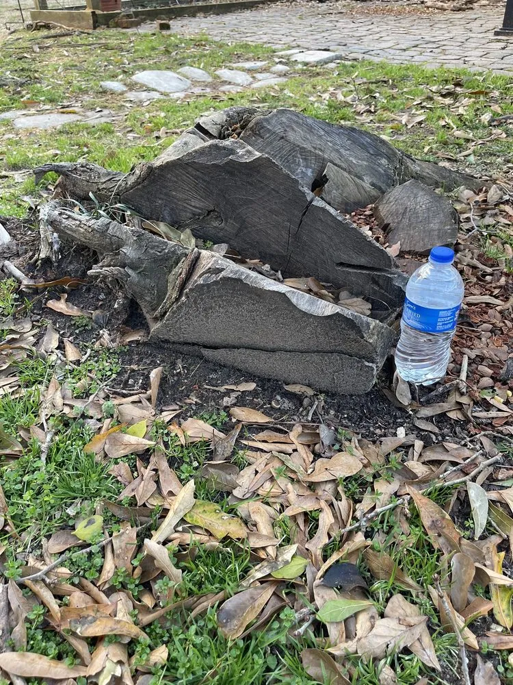 Top-rated garden landscaping in Brookshire, TX - Rangel Tree Service