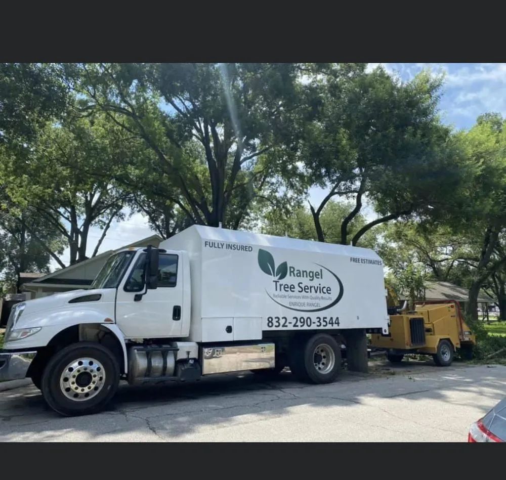Professional residential landscaping experts serving Brookshire, TX - Rangel Tree Service
