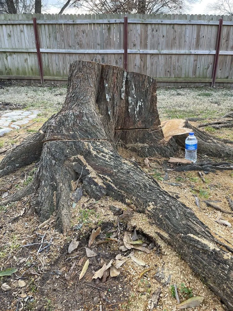 Trusted landscaping services with custom design across Brookshire, TX - Rangel Tree Service