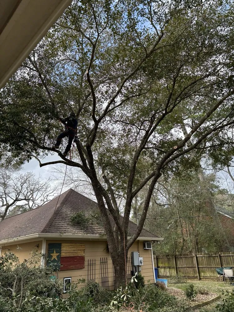 Custom landscape installation in Brookshire, TX - Rangel Tree Service