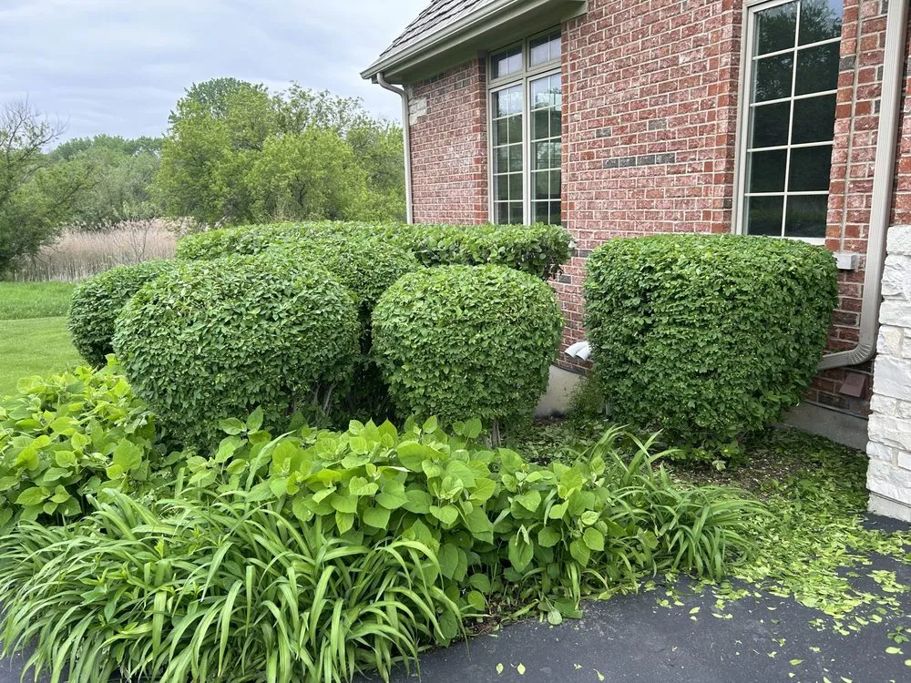 Top-rated yard cleanup service in Round Lake Beach, IL by Rangeles Landscaping Service