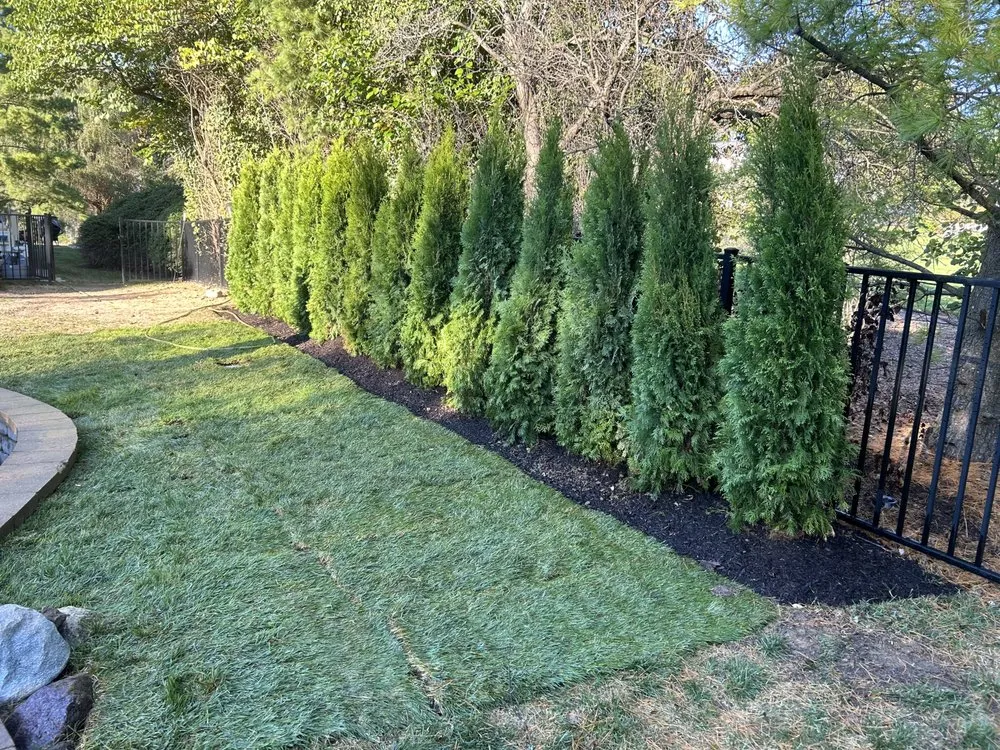 Reliable lawn care service experts serving Round Lake Beach, IL - Rangeles Landscaping Service