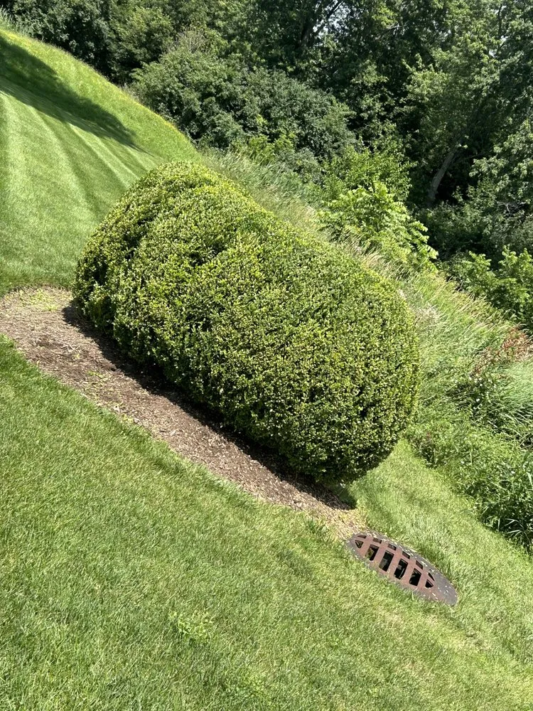 Top-rated garden landscaping for outdoor upgrades in Round Lake Beach, IL by Rangeles Landscaping Service