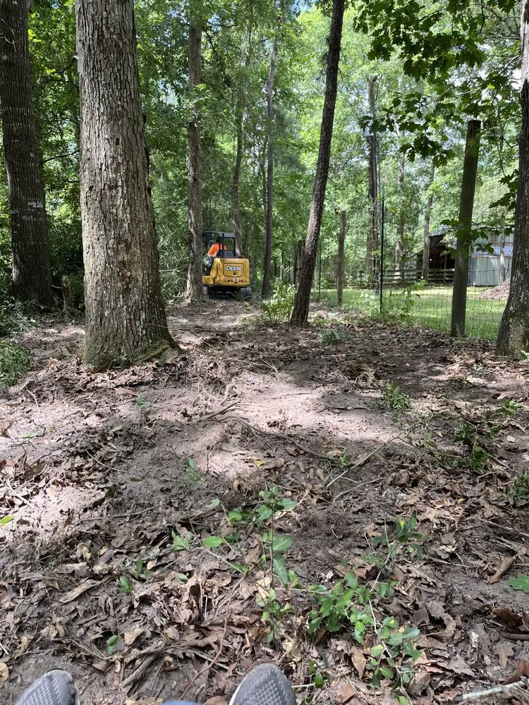 Top-rated yard cleanup service experts serving Conroe, TX - Rangel’s lawn and landscaping