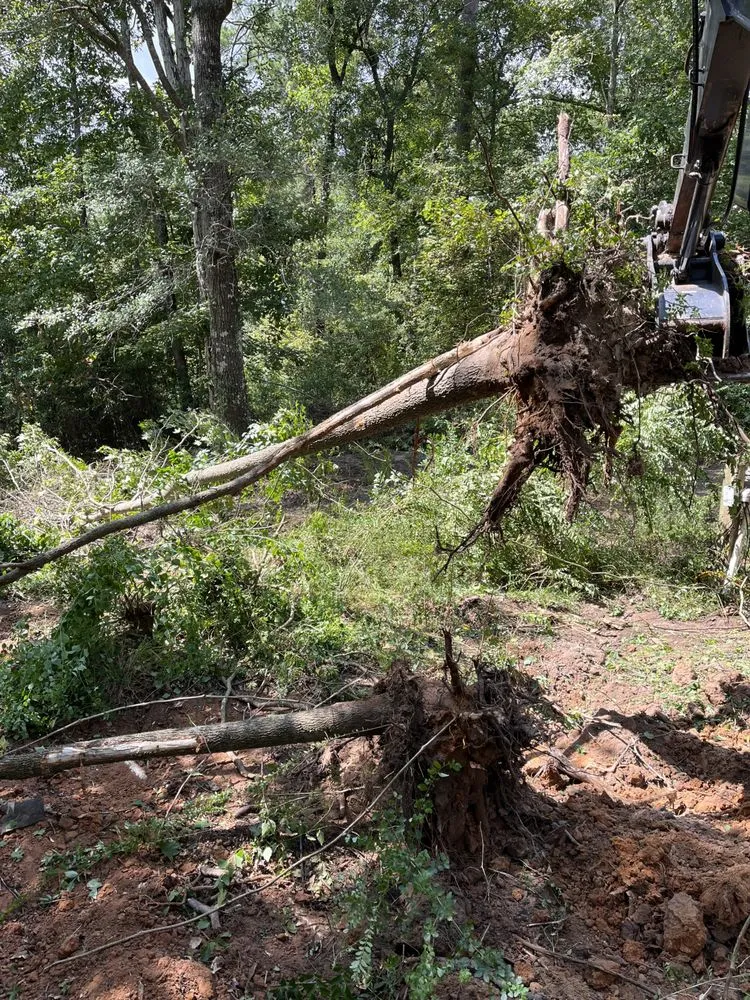 Trusted landscape design in Conroe, TX - Rangel’s lawn and landscaping