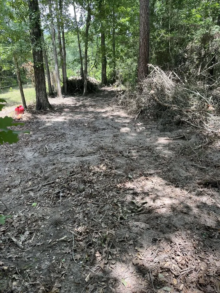 Trusted landscape installation for beautiful yards in Conroe, TX by Rangel’s lawn and landscaping