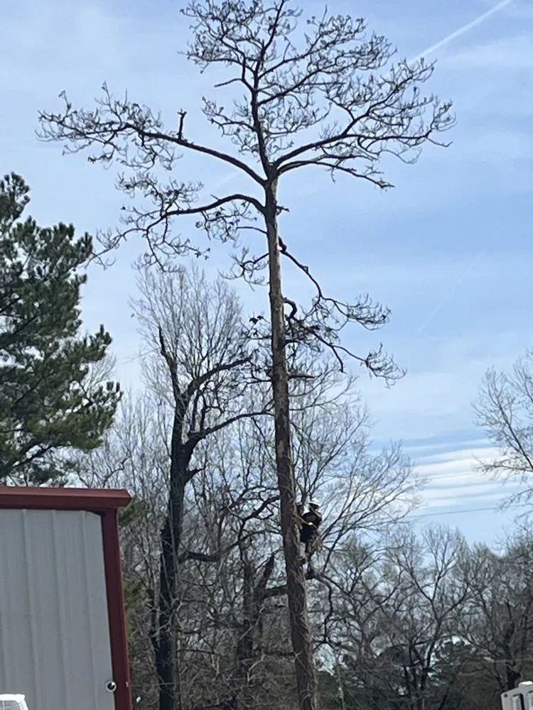 Affordable garden landscaping experts serving Conroe, TX - Rangel’s lawn and landscaping