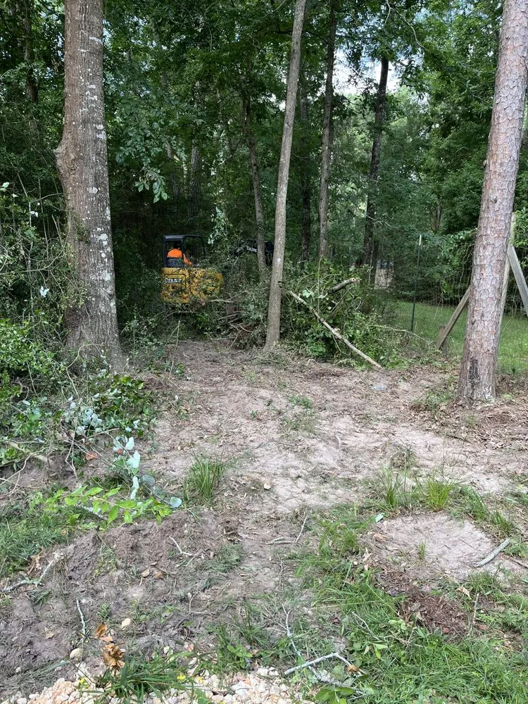 Custom residential landscaping experts serving Conroe, TX - Rangel’s lawn and landscaping