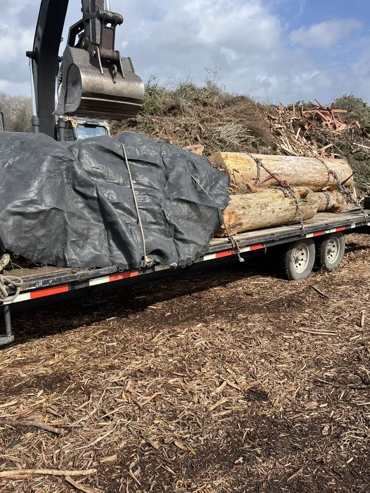 Affordable lawn care service for beautiful yards in Conroe, TX by Rangel’s lawn and landscaping