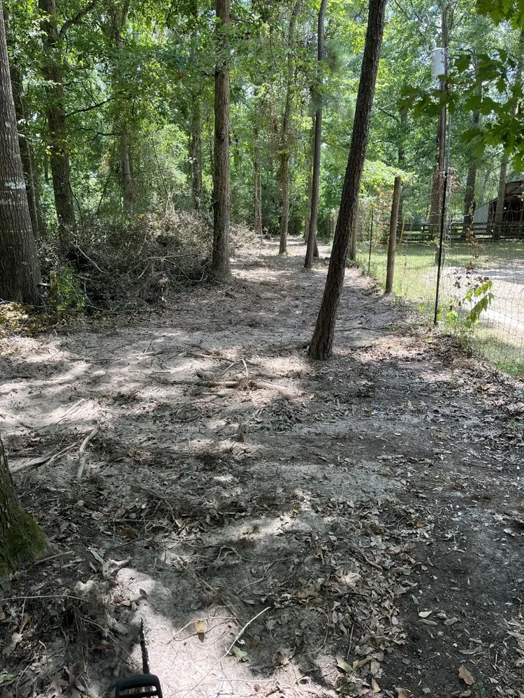 Trusted outdoor landscaping for residential properties across Conroe, TX - Rangel’s lawn and landscaping