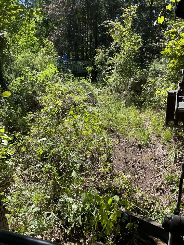 Local residential landscaping for year-round maintenance across Conroe, TX - Rangel’s lawn and landscaping