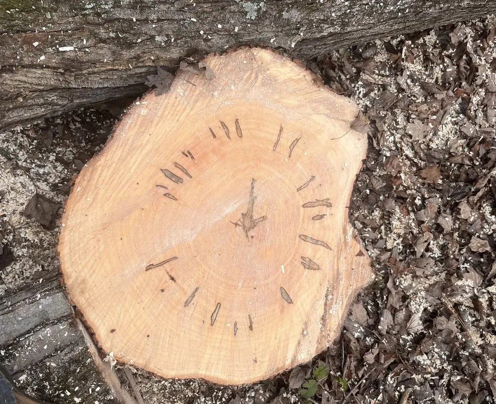 Expert outdoor landscaping experts serving Fredericksburg, VA - Rangel's Tree and Landscaping Services